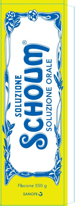 SOLUZIONE SCHOUM*FL 550G - farmaidea24.com