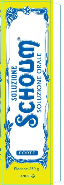 SOLUZIONE SCHOUM*FTE 250G - farmaidea24.com