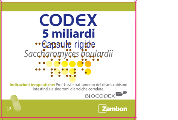 CODEX*12CPS 5MLD 250MG - farmaidea24.com