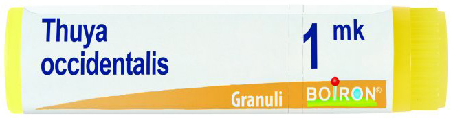 THUYA OCCIDENTALIS MK GLOBULI 1G - farmaidea24.com