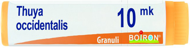 THUYA OCCIDENTALIS XMK GLOBULI 1G - farmaidea24.com