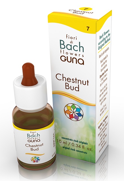 CHESTNUT BUD GOCCE 10 ML - farmaidea24.com