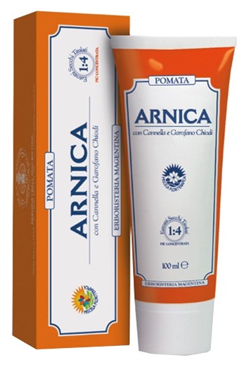 ARNICA FORTE POMATA 100 ML - farmaidea24.com