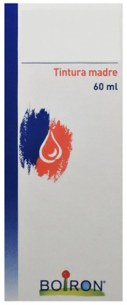 HYPERICUM PERFORATUM TINTURA MADRE 60 ML - farmaidea24.com