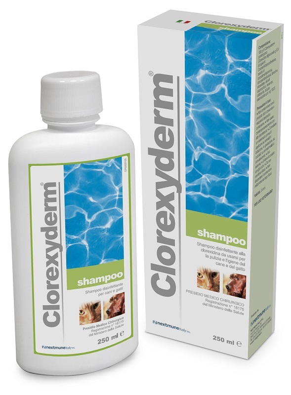 CLOREXYDERM SHAMPOO 250 ML - farmaidea24.com