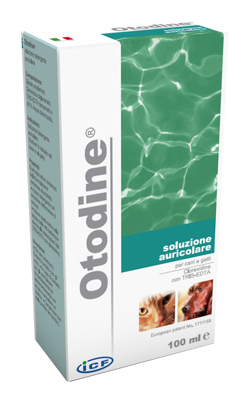 OTODINE DETERGENTE LIQUIDO 100 ML - farmaidea24.com