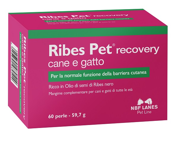 RIBES PET RECOVERY BLISTER 60 PERLE - farmaidea24.com