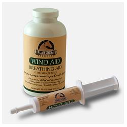 WIND AID SCIROPPO 947 ML - farmaidea24.com