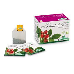 INFUSO BIO FRUTTA FRUTTI DI BOSCO 20 FILTRI - farmaidea24.com