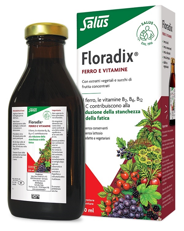 FLORADIX FERRO E VITAMINE 250 ML - farmaidea24.com
