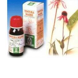 ECHINACEA 59 50ML TM - farmaidea24.com