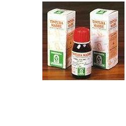 ERISIMO 61 50ML TM - farmaidea24.com