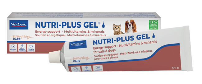 NUTRIPLUS GEL PASTA ORALE 120 G - farmaidea24.com