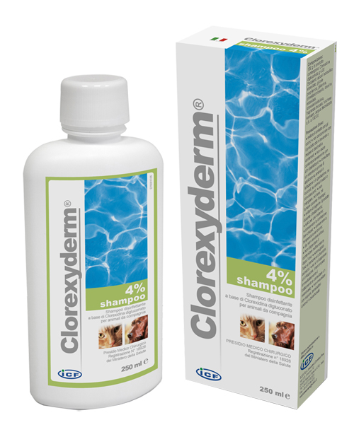 CLOREXYDERM SHAMPOO 4% 250 ML - farmaidea24.com