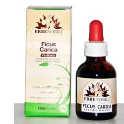 FITOBLASTO FICUS CARICA 50 ML - farmaidea24.com