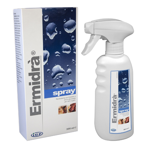 ERMIDRA' SPRAY 300 ML - farmaidea24.com