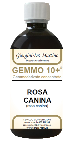 GEMMO 10+ ROSA CANINA LIQUIDO ANALCOLICO 500 ML - farmaidea24.com