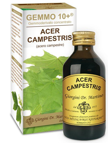 GEMMO 10+ ACERO CAMPESTRE 100 ML LIQUIDO ANALCOLICO - farmaidea24.com
