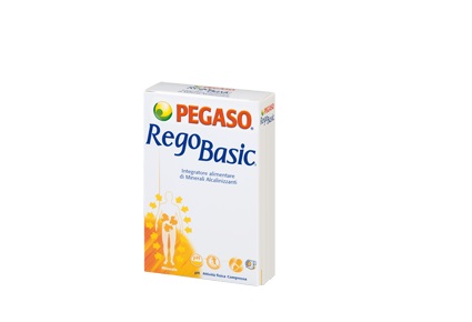 REGOBASIC 12 BUSTINE POLVERE - farmaidea24.com