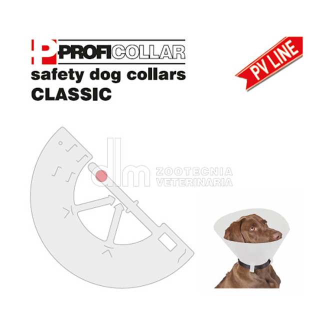 COLLARE ELISABETTIANO CLASSICO/OPACO 10 XS - farmaidea24.com