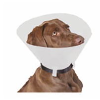 COLLARE ELISABETTIANO CLASSICO/OPACO 12,50 S - farmaidea24.com