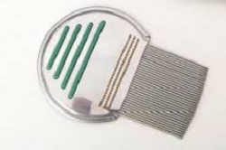 PETTINE ACCIAIO PER RIMOZIONE PIDOCCHI - farmaidea24.com