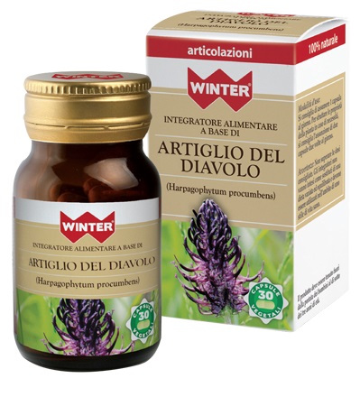 WINTER ARTIGLIO DEL DIAVOLO BIO 30 CAPSULE VEGETALI - farmaidea24.com