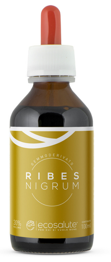 RIBES NIGRUM GEMMODERIVATO 100 ML - farmaidea24.com