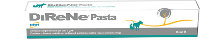 DIRENE PASTA 15 ML - farmaidea24.com