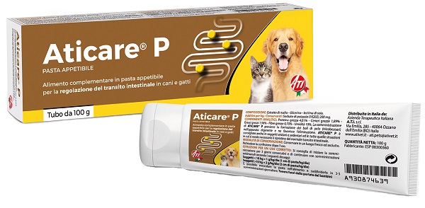 ATICARE P 100 G - farmaidea24.com