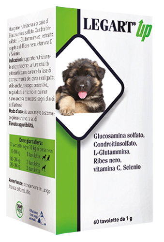 LEGART UP 60 COMPRESSE DA 1 G - farmaidea24.com