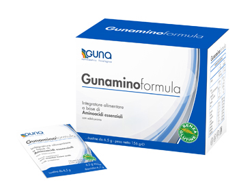 GUNAMINOFORMULA 42 BUSTINE 273 G - farmaidea24.com