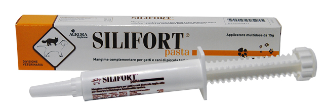 SILIFORT PASTA OS SIRINGA 15 G - farmaidea24.com