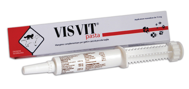 VISVIT PASTA OS SIRINGA 15 G - farmaidea24.com