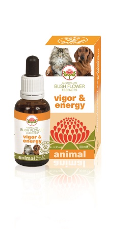 VIGOR & ENERGY 30 ML - farmaidea24.com