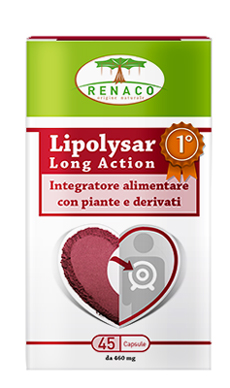 LIPOLYSAR LONG ACTION 45 CAPSULE - farmaidea24.com