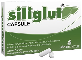 SILIGLUT 20 CAPSULE - farmaidea24.com