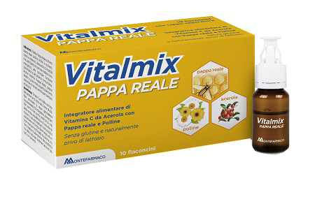 VITALMIX PAPPA REALE 10FLACONCINI X10 ML S/GL - farmaidea24.com