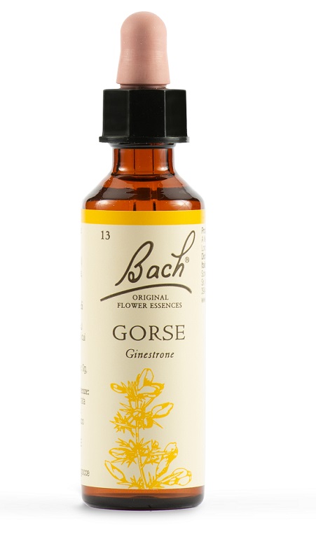 GORSE BACH ORIG 20 ML - farmaidea24.com