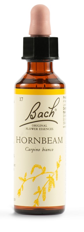 HORNBEAM BACH ORIG 20 ML - farmaidea24.com