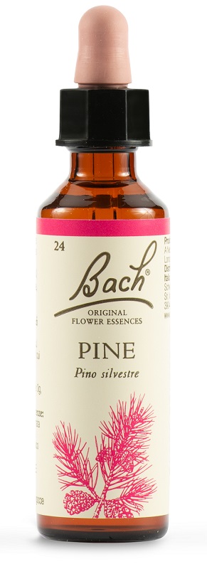 PINE BACH ORIG 20 ML - farmaidea24.com