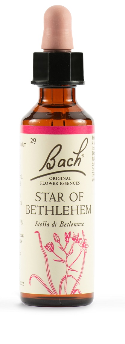 STAR OF BETHL ORIG 20 ML - farmaidea24.com