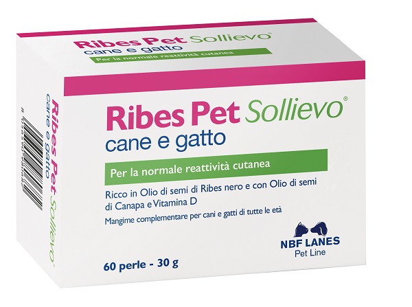 RIBES PET SOLLIEVO BLISTER 60 PERLE - farmaidea24.com