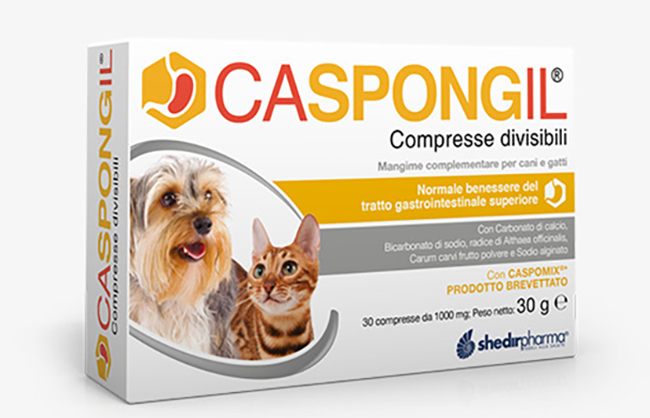 CASPONGIL 30 COMPRESSE DIVISIBILI - farmaidea24.com