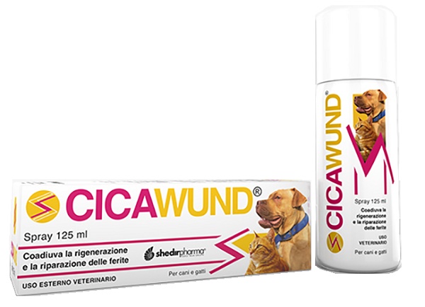 CICAWUND SPRAY 125 ML - farmaidea24.com