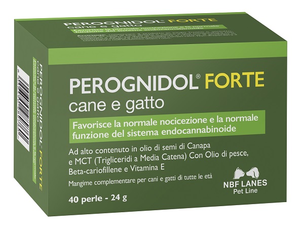 PEROGNIDOL FORTE PERLE - farmaidea24.com