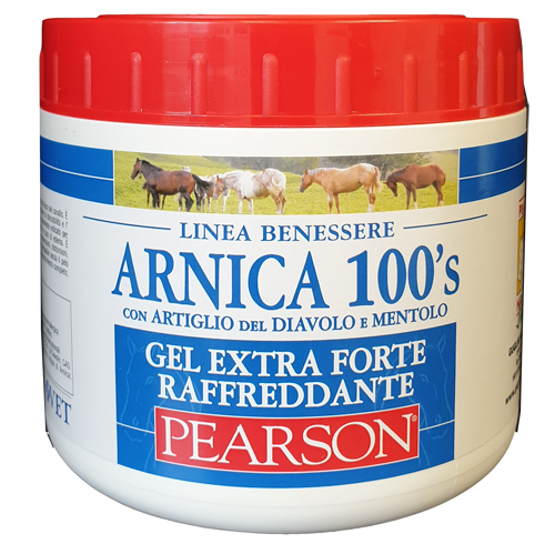 ARNICA 100'S EXTRA FORTE 500 ML - farmaidea24.com