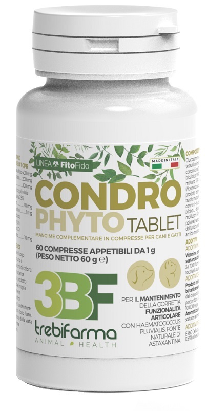 CONDROPHYTO 60 COMPRESSE DA 1 G - farmaidea24.com