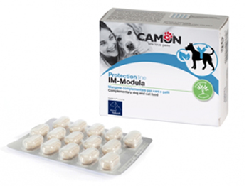 IMMODULA 60 COMPRESSE - farmaidea24.com