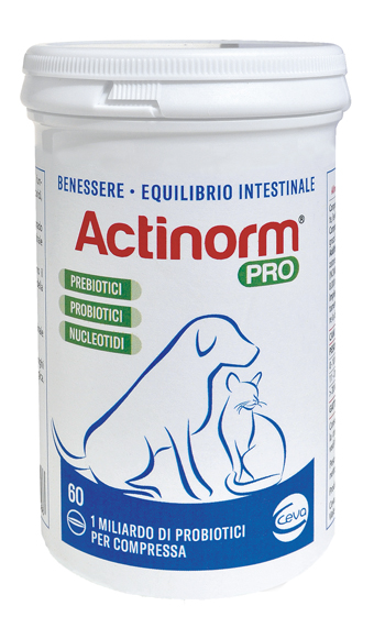 ACTINORM PRO FLACONE 60 COMPRESSE - farmaidea24.com